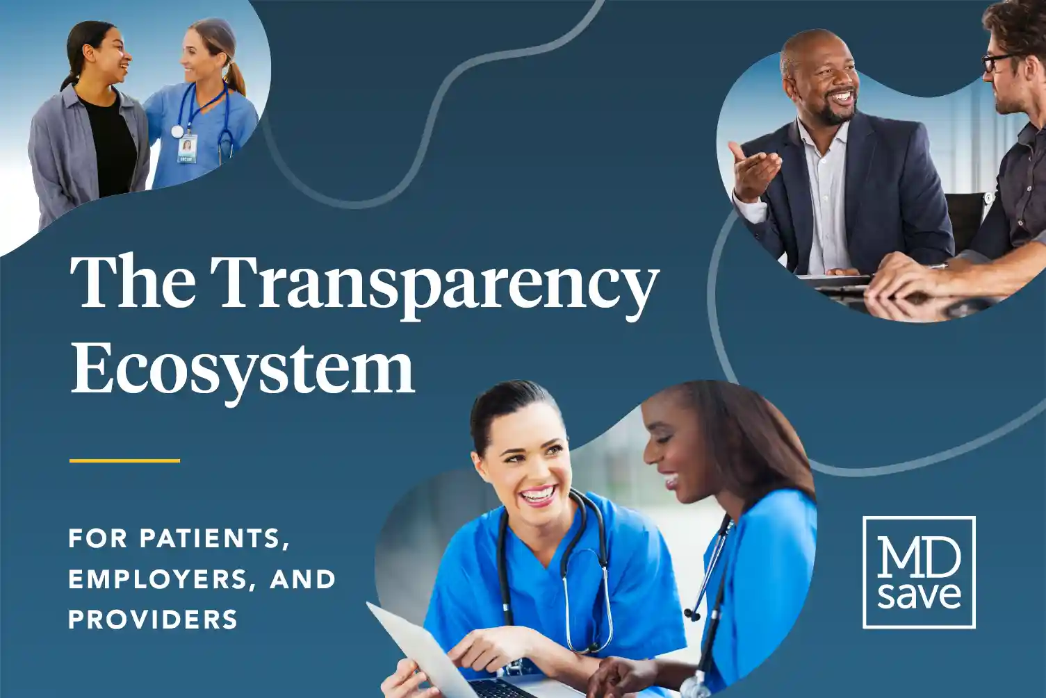 Transparency Ecosystem in Healthcare