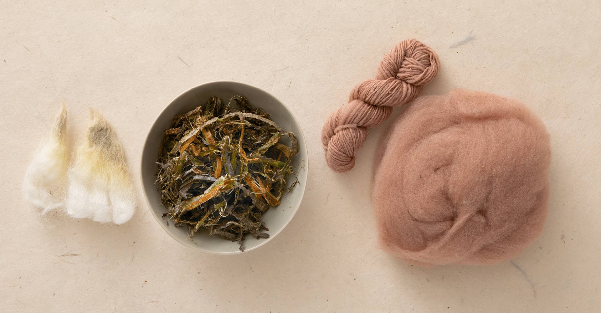 Dyeing with Buckthorn Image