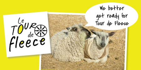 The Tour de Fleece Carries On! | Spin Off
