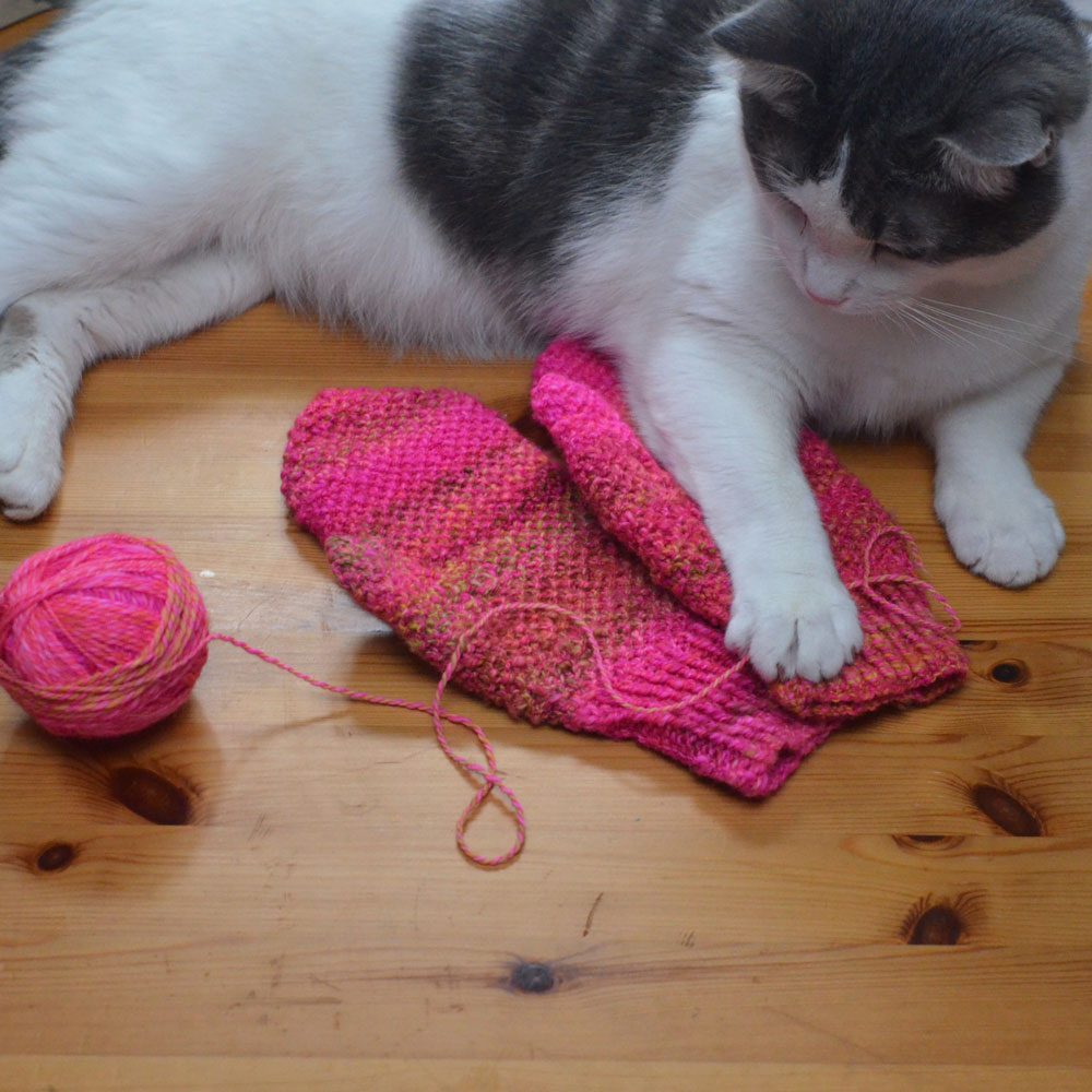 cat yarn