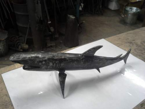 kovaný žralok 4