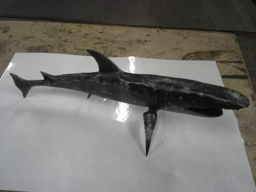 kovaný žralok 2