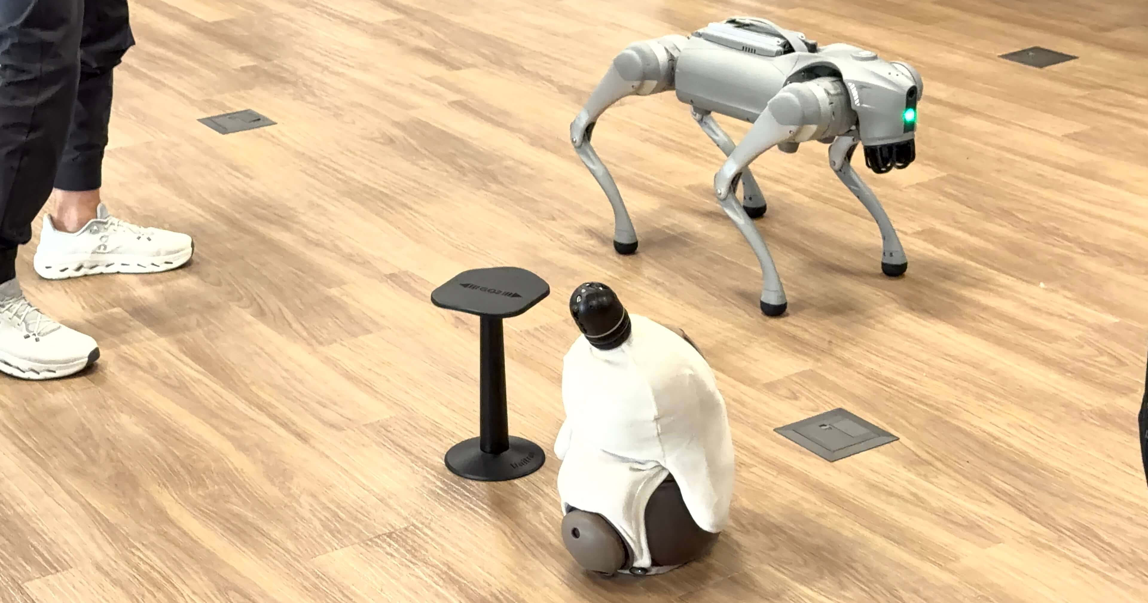 go2-pitan - eyecatch