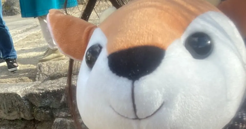 AI事業本部にジョインしました竹口です！