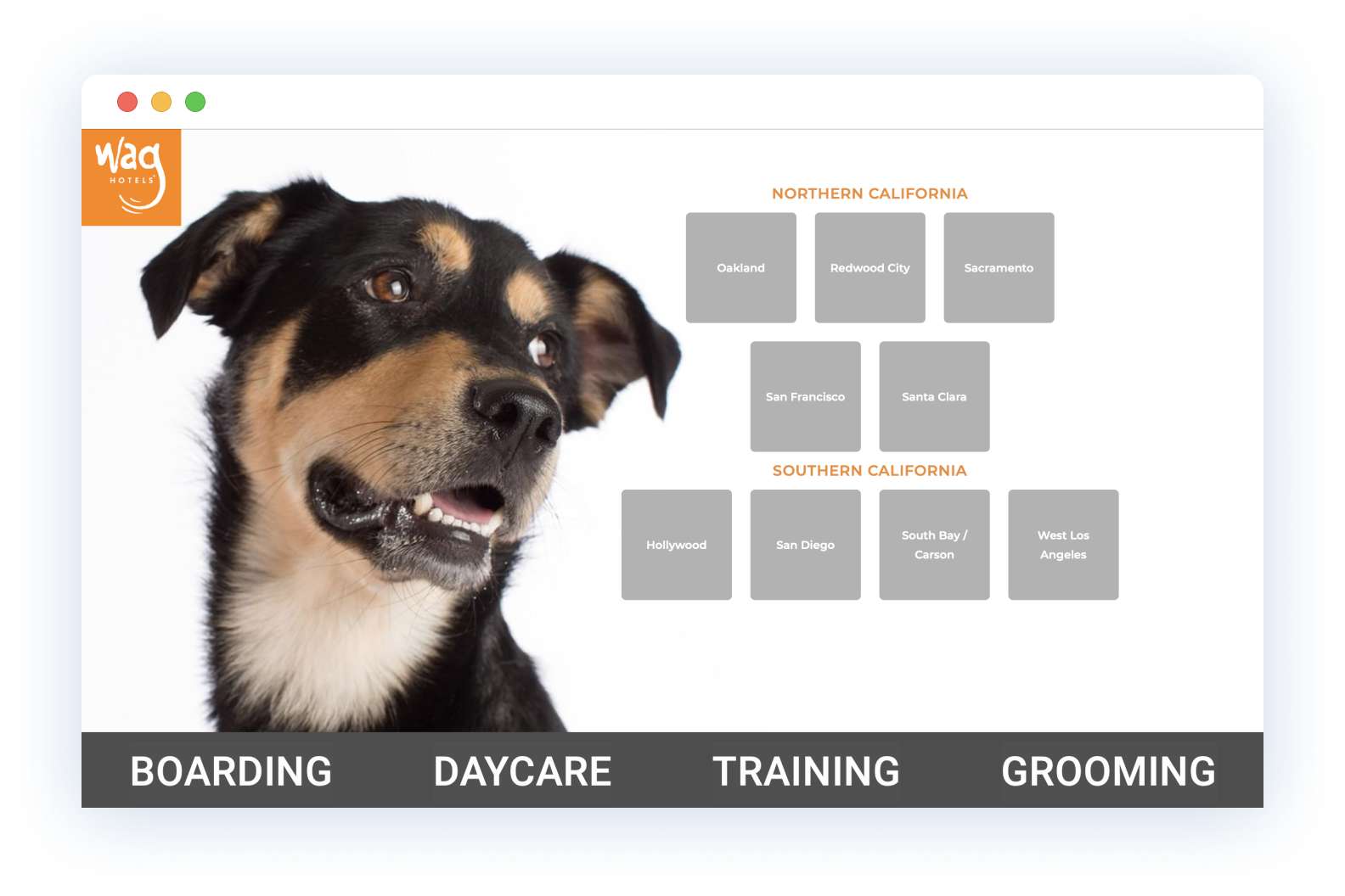 WAG Hotels - example of a page with a picture of a dog and services list: boarding, daycare, training and grooming.