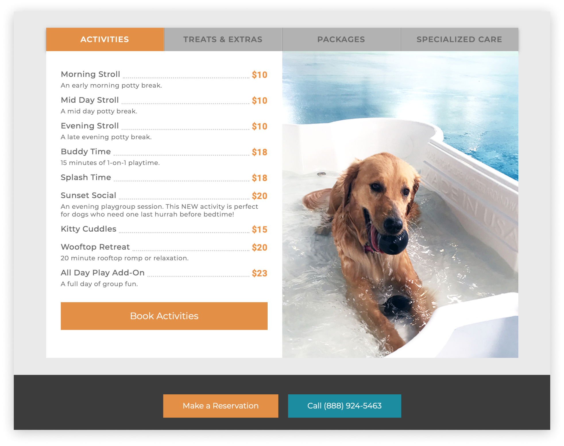 Wag hotel website - menu and picture of a dog in the pool. 