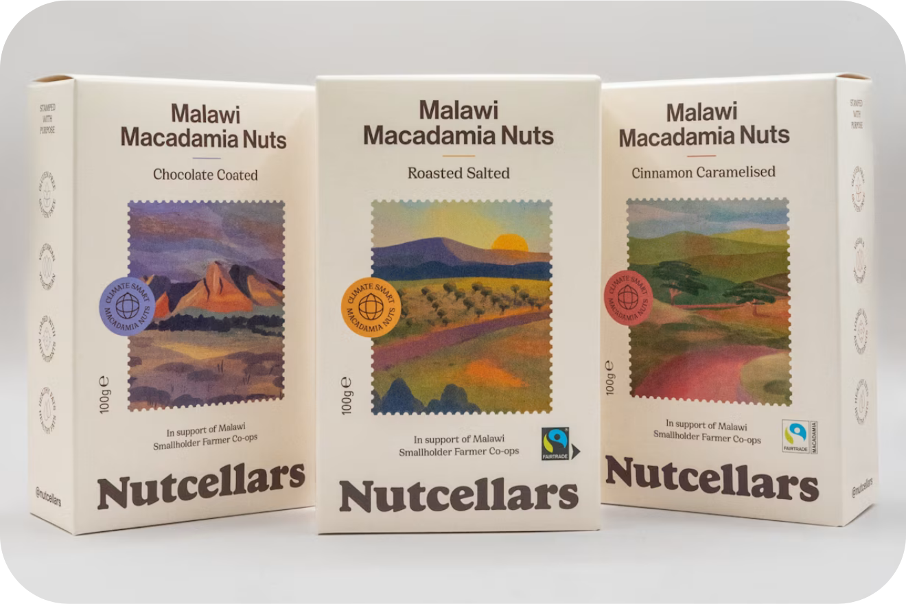 SSP - Malawi - Nutcellars