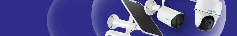 Cat H Banner 6