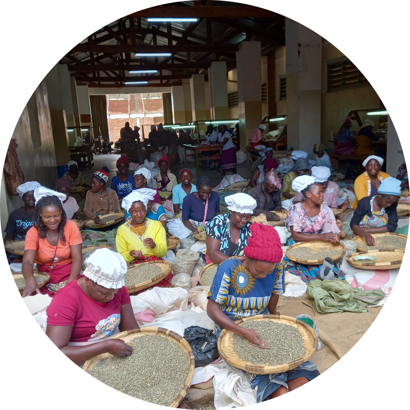 SSP - Malawi  - Introduction Image