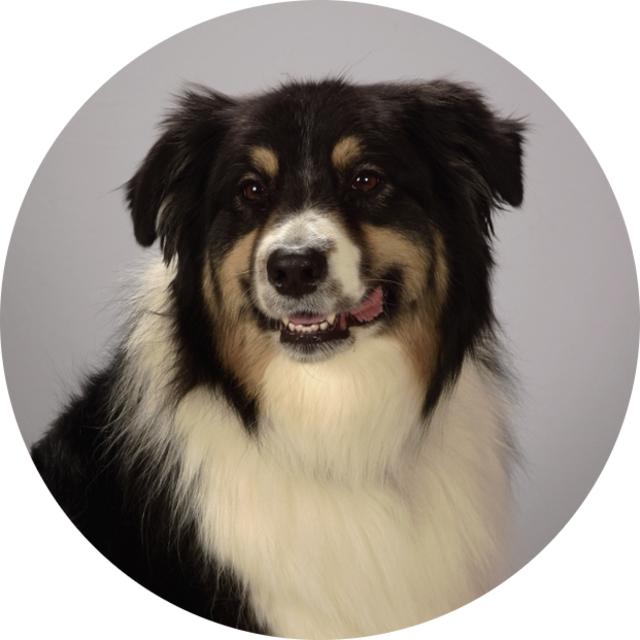 Ghost, A-CH  profile picture