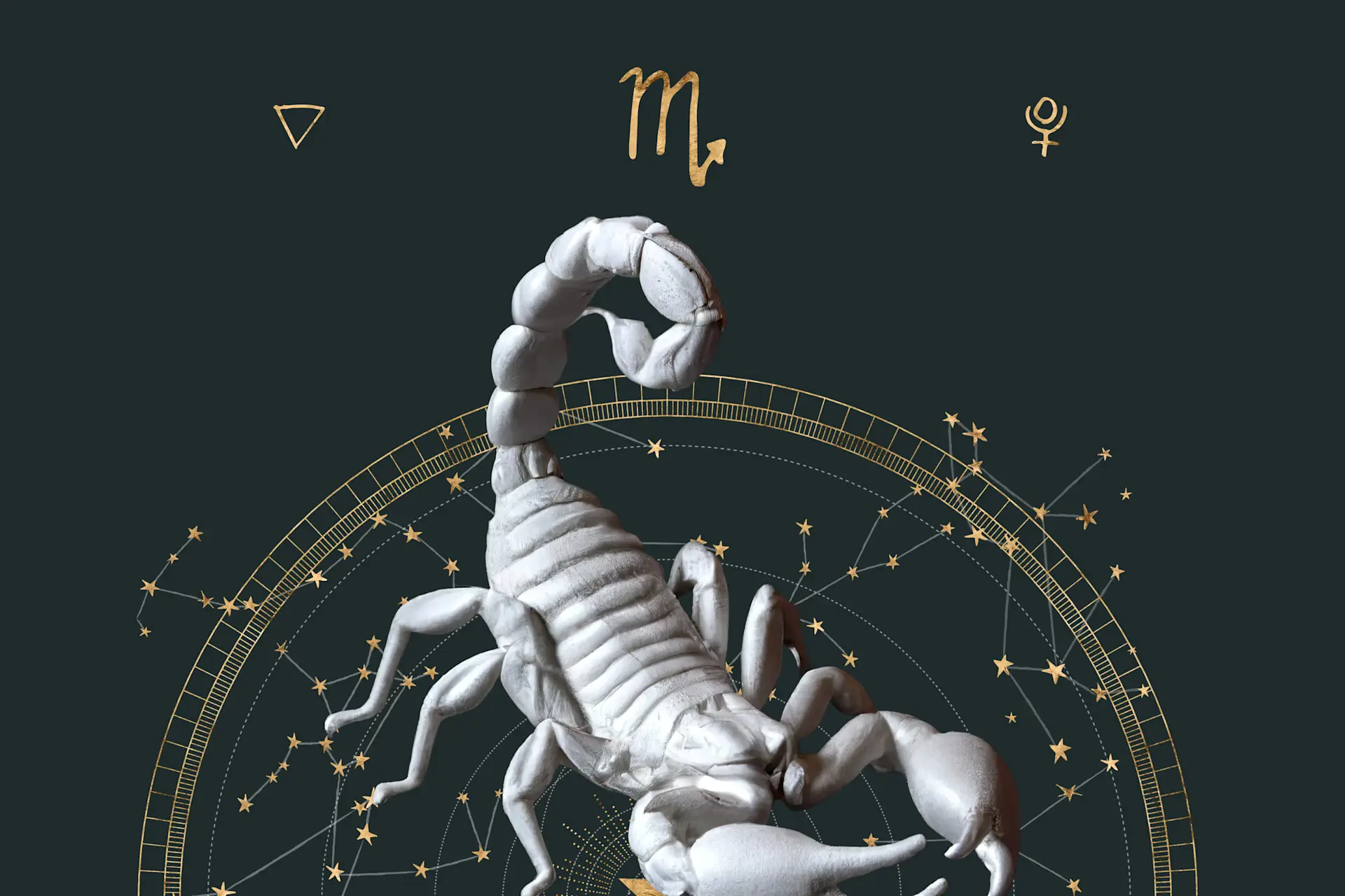 Scorpio Zodiac Sign: Dates, Personality and Compatibility