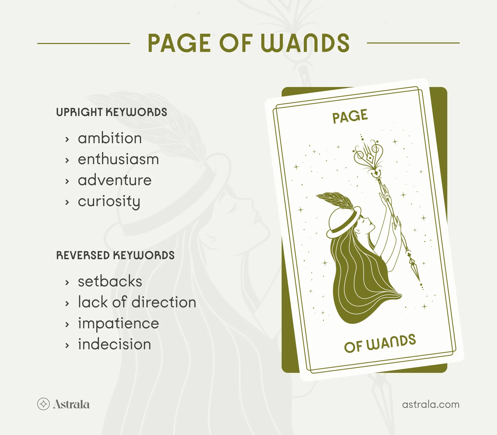 Page of Wands Tarot Card Upright and Reversed Keywords