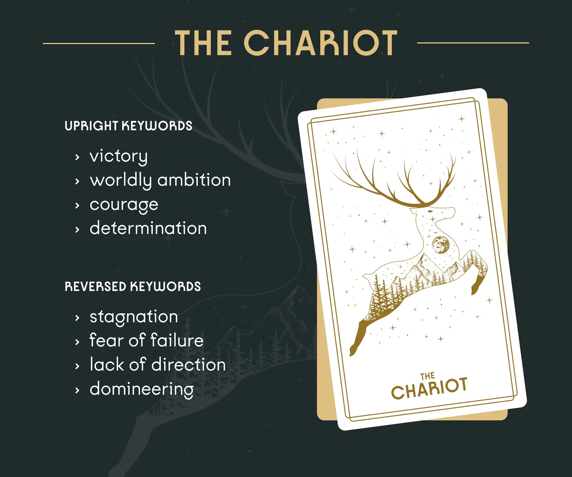 The Chariot Tarot Card Upright and Reversed Keywords