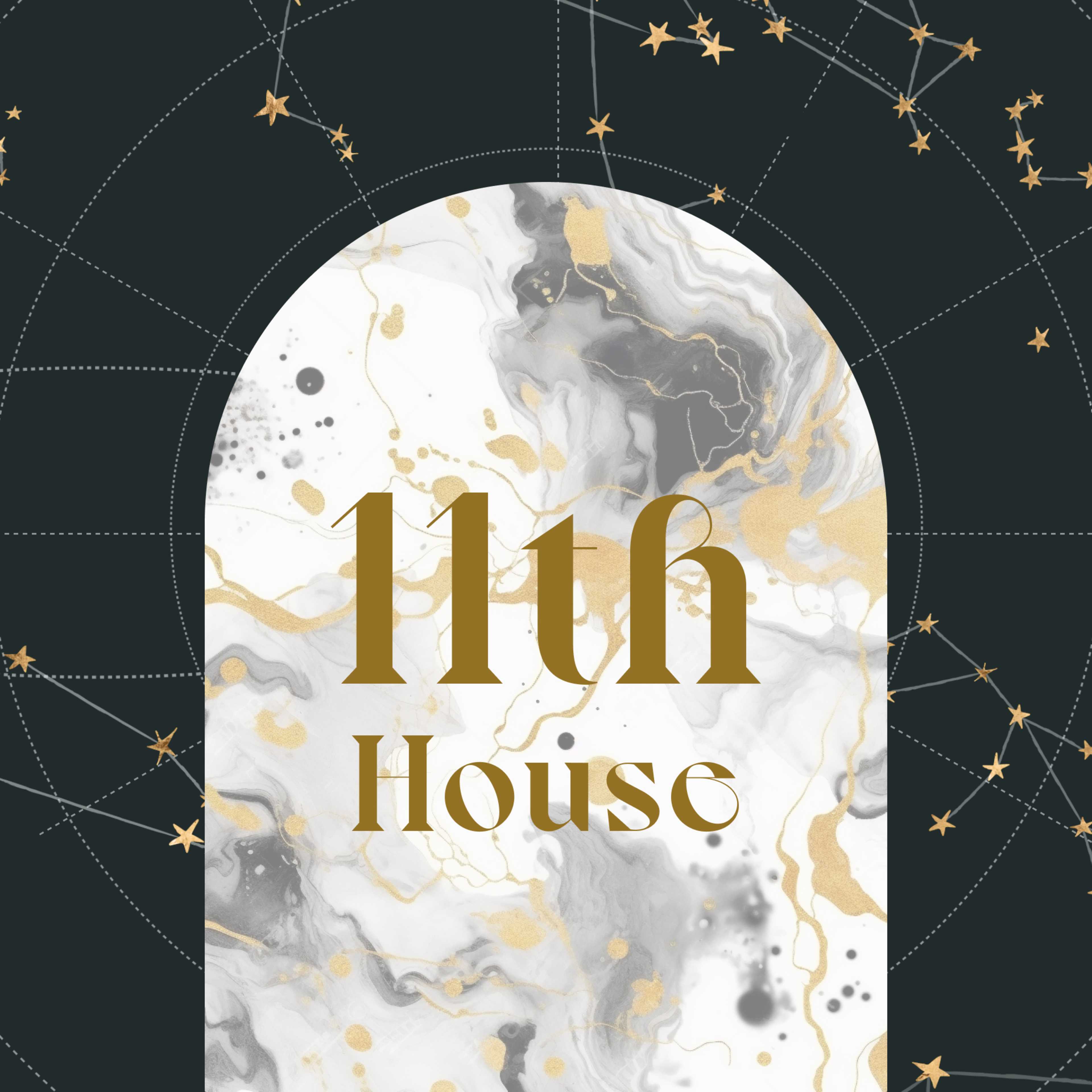 Eleventh House in Astrology