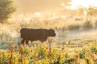 Najaarswandeling Broekpolder