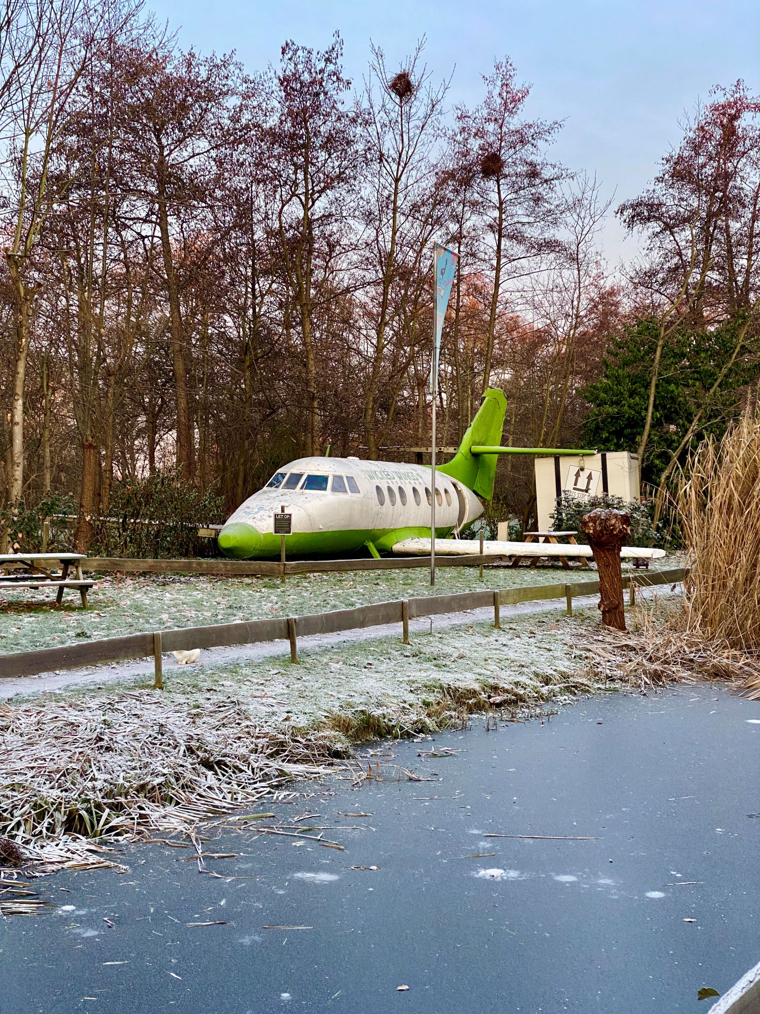 Voorleesvoorstelling Zintuigen
