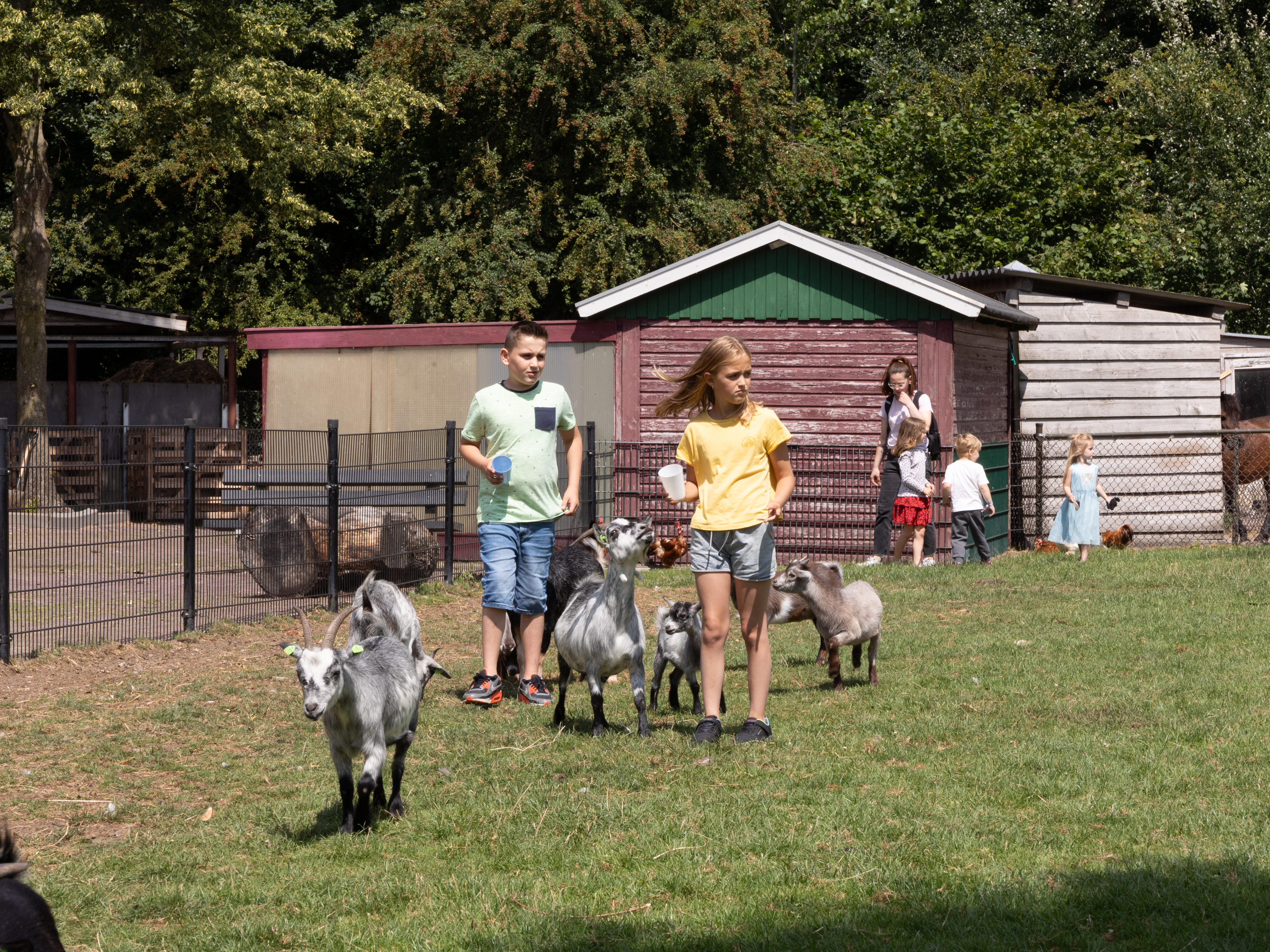 Infopunt Vlaardingen