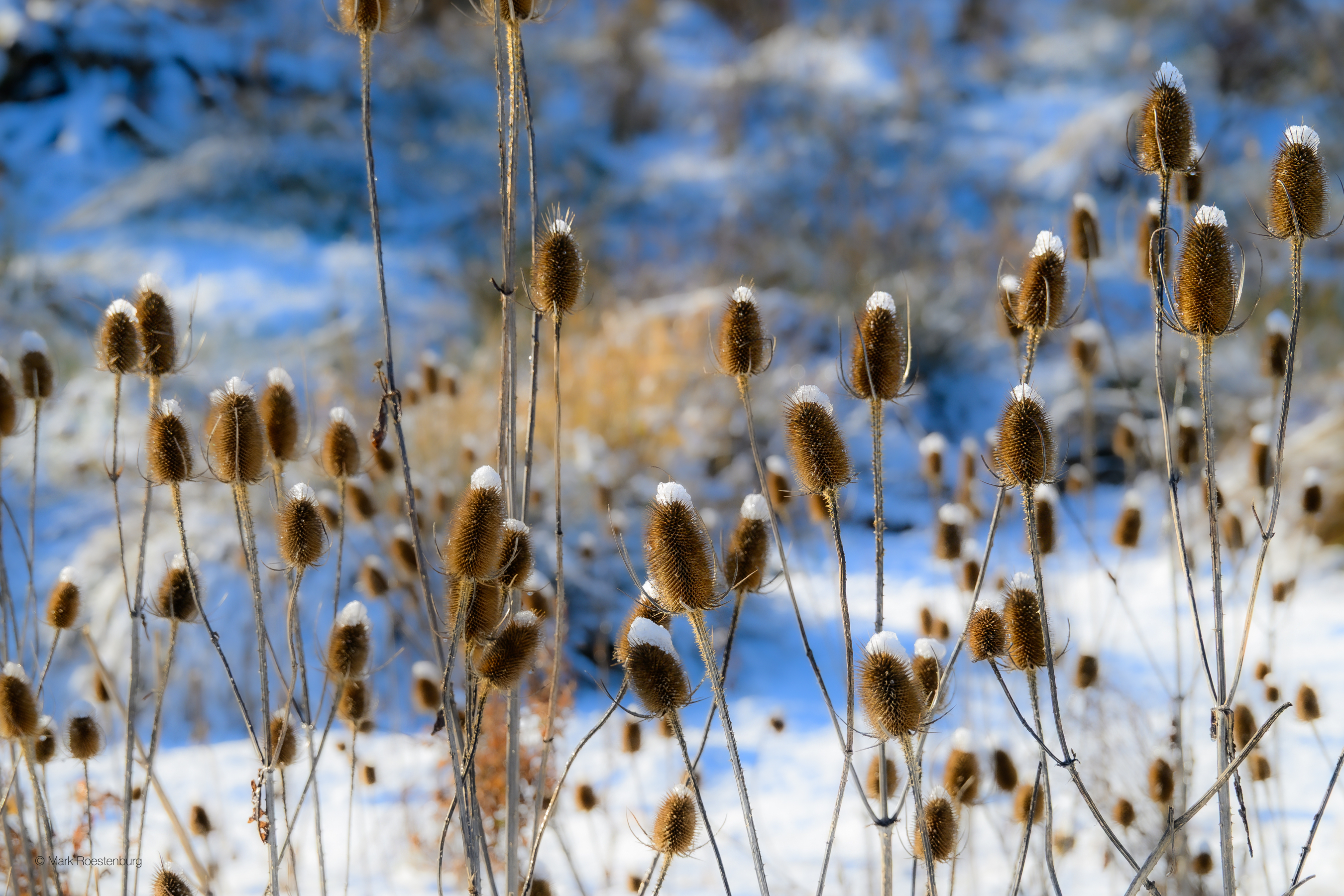 Infopunt Vlaardingen