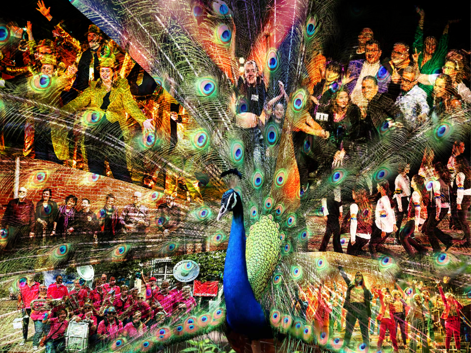 Vlaardings Trots! - Het Beste Uit Het Lokale Culturele Verenigingsleven