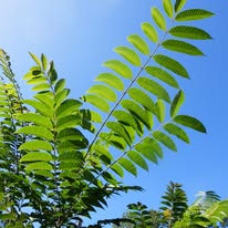 Infopunt Vlaardingen