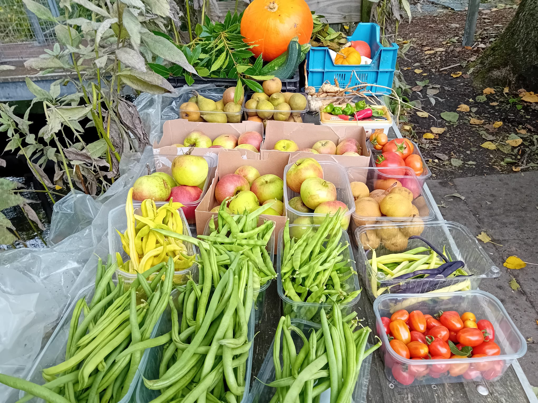 Infopunt Vlaardingen