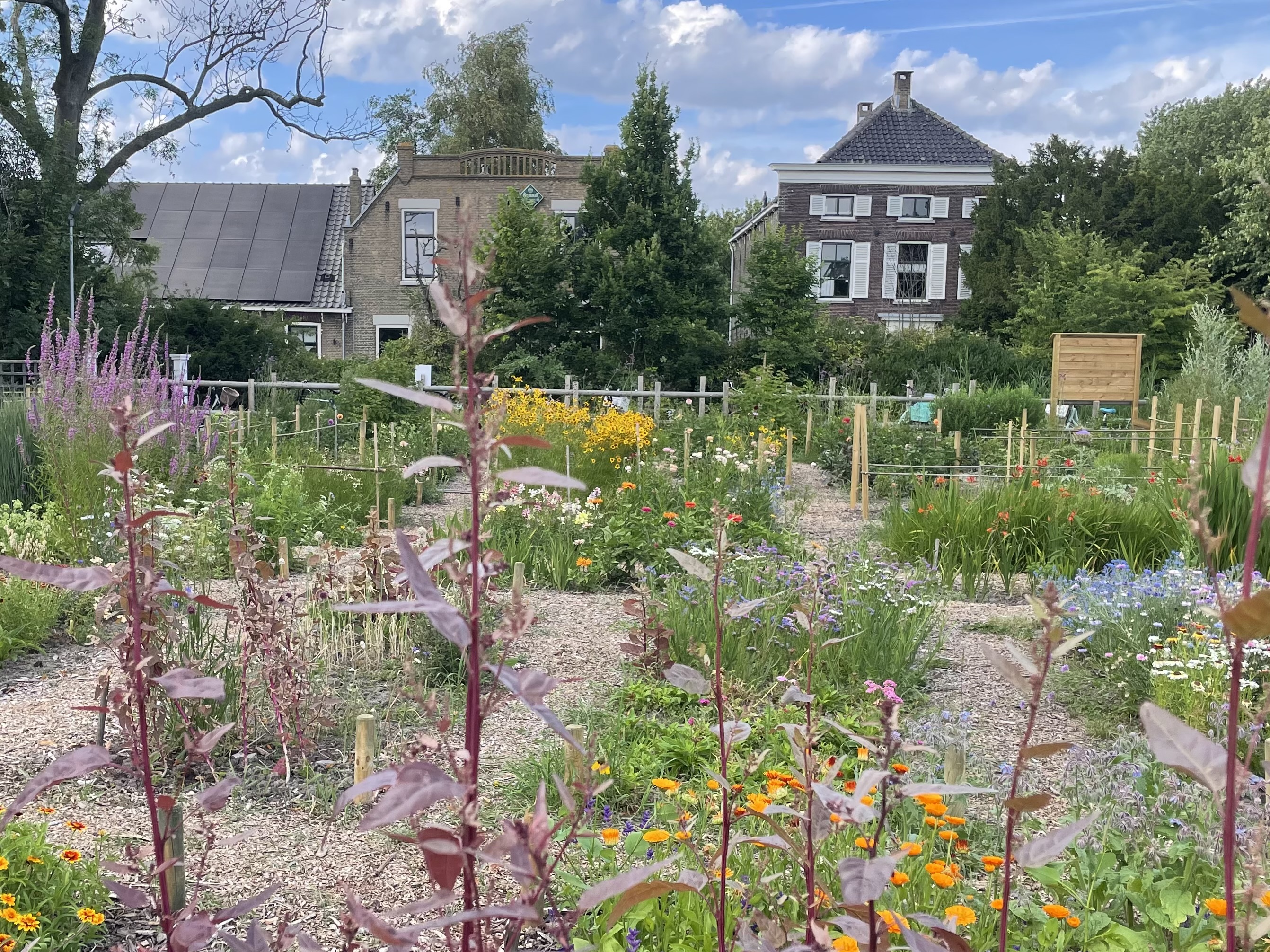 Plantjes markt 