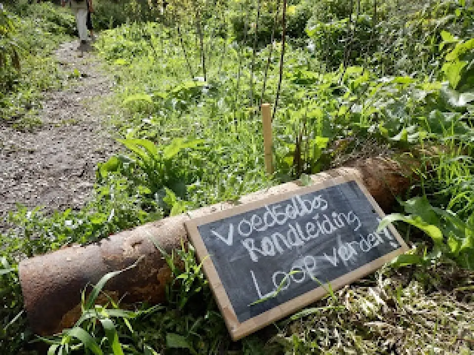 Infopunt Vlaardingen