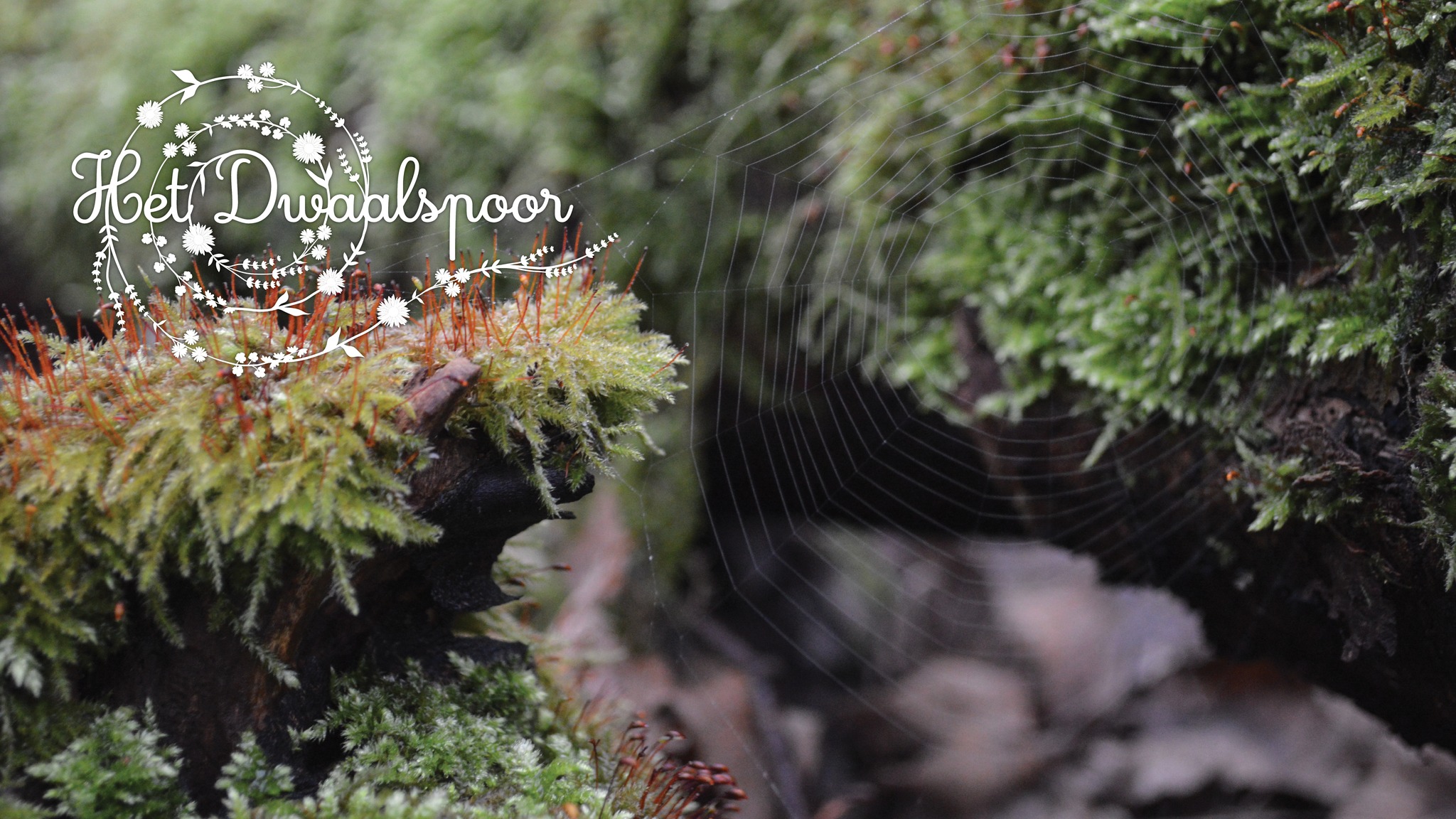 Infopunt Vlaardingen