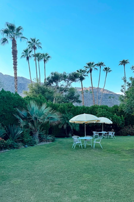Eat Stay Play: Palm Springs