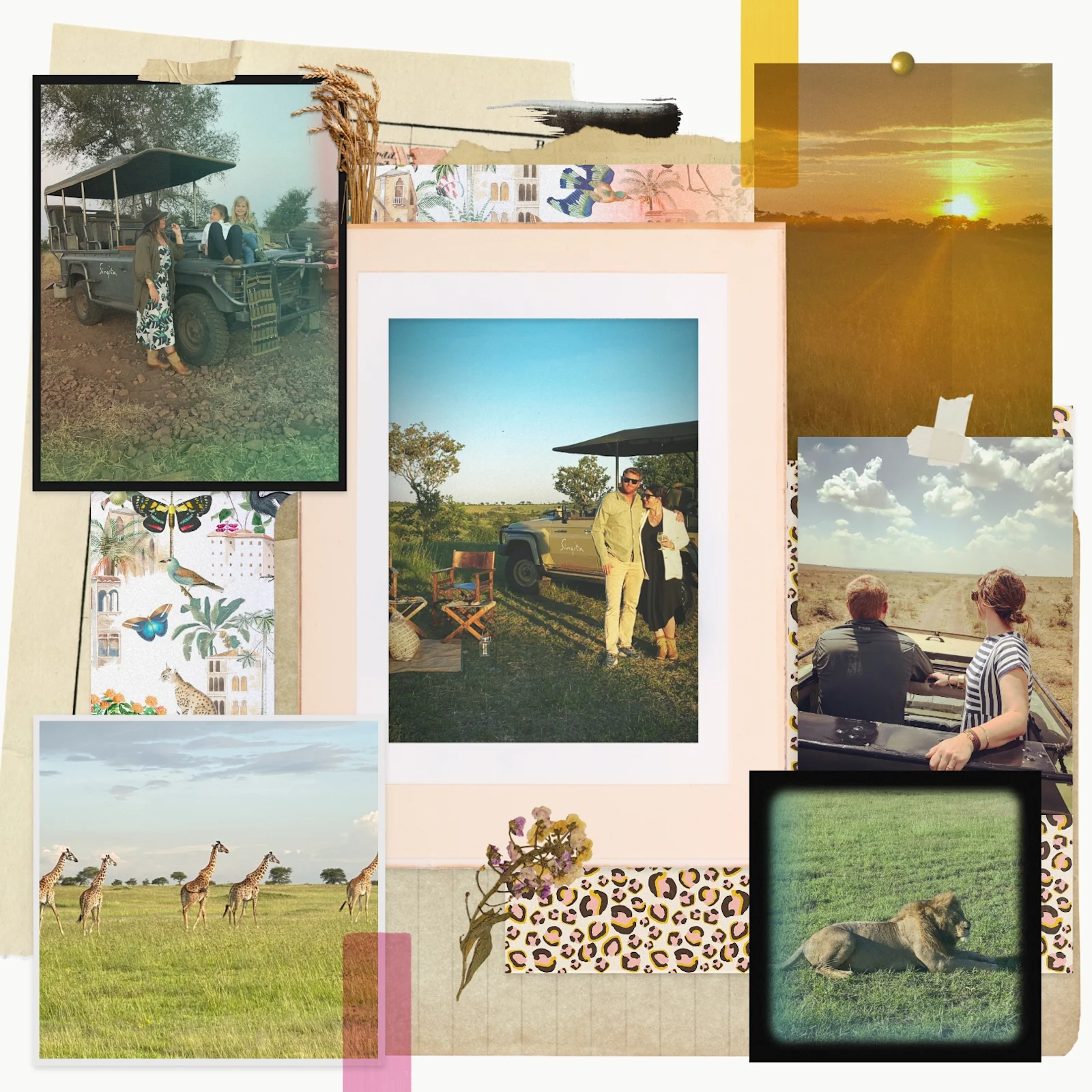 Welcome to the Natural World