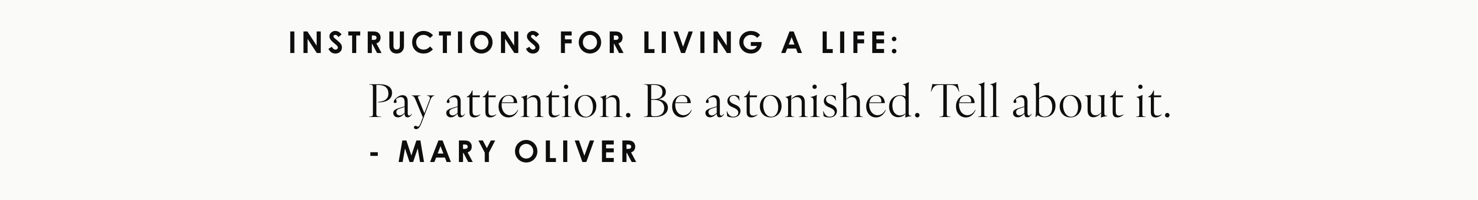 instructions for living life: Pay attention. Be astonished. Tell about it. - Mary oliver