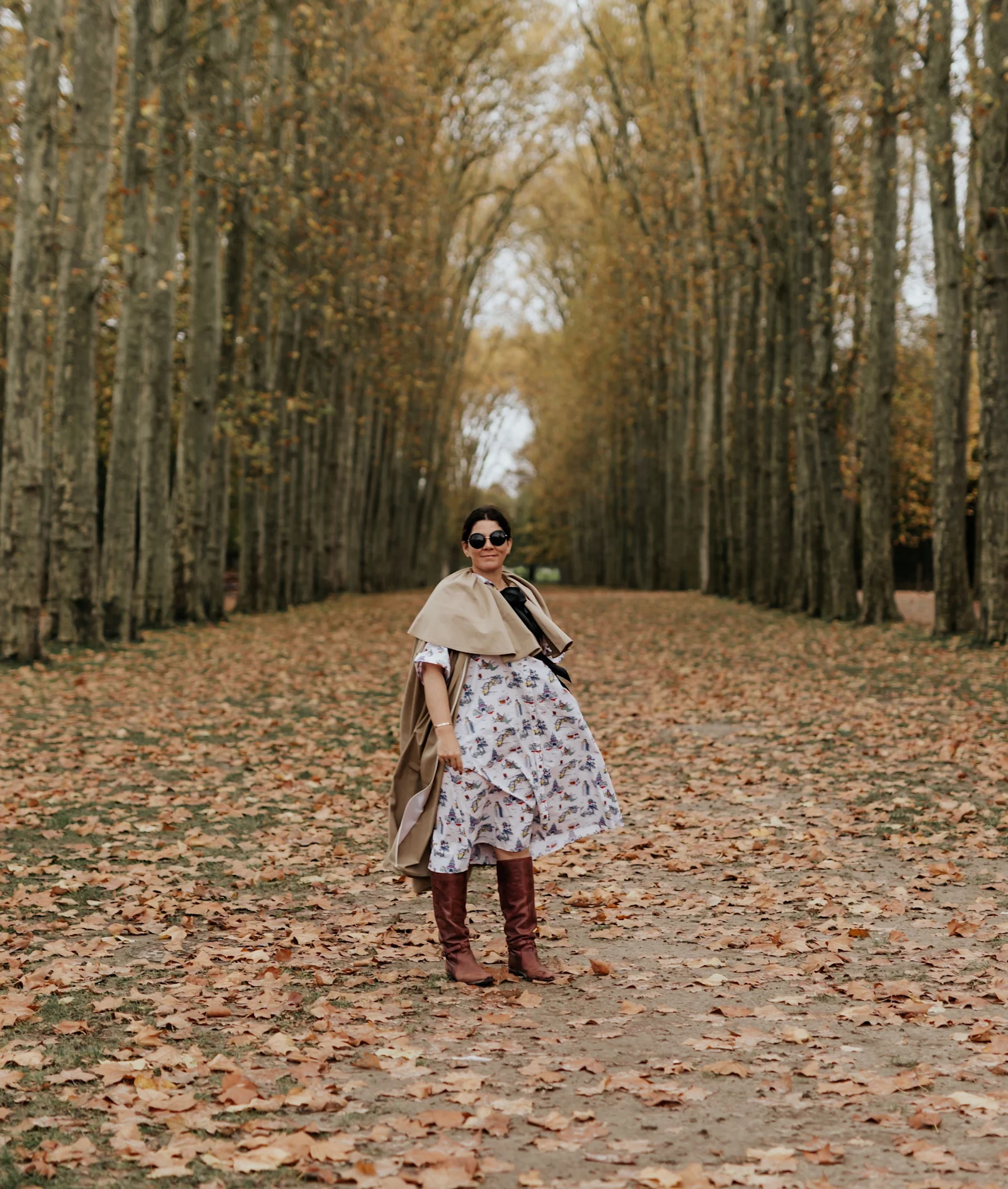 The History of Toile