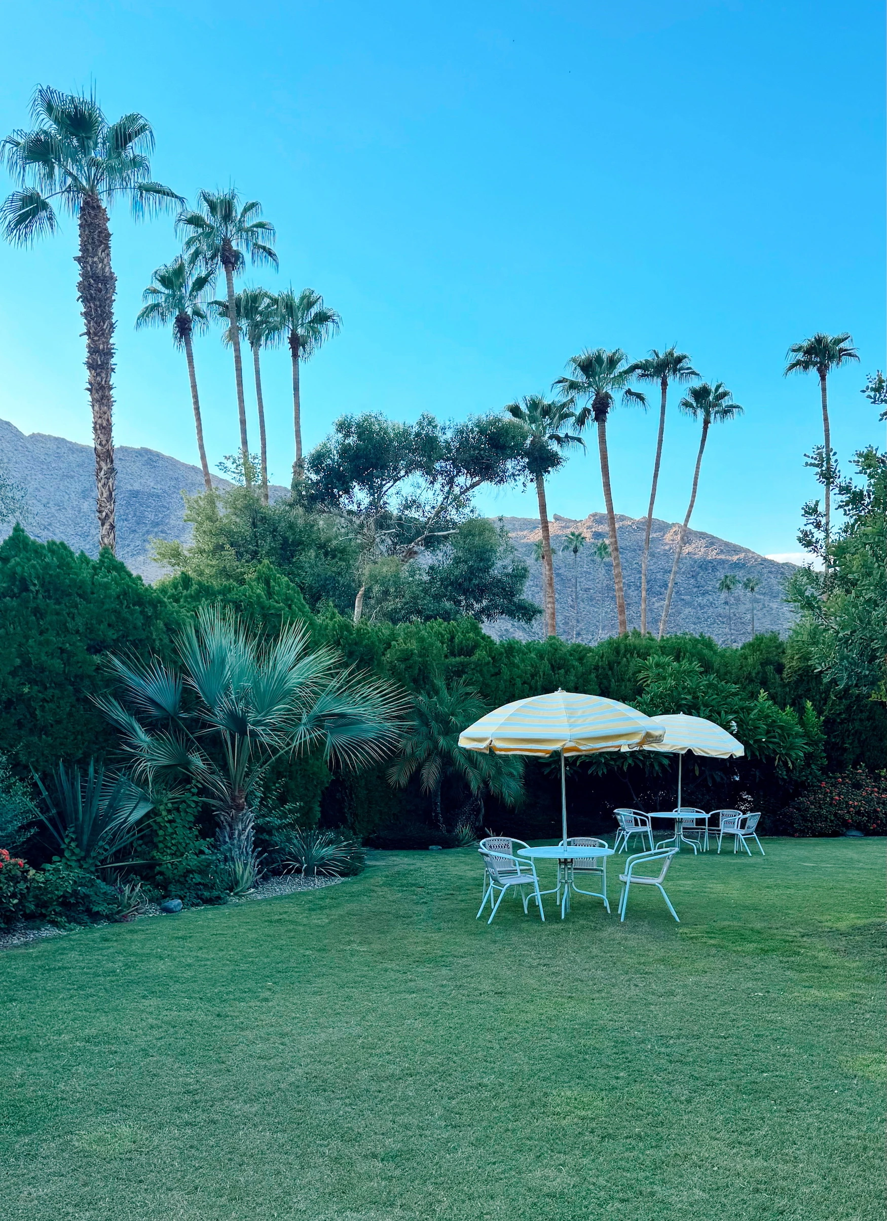 Eat Stay Play: Palm Springs