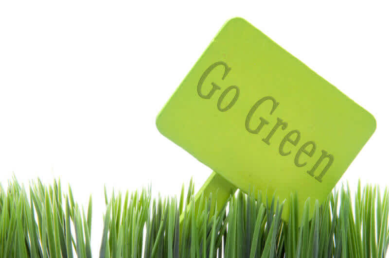 Go Green  sign in fresh grass isolated on a white background.