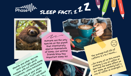 Thumbnail image for the Sleep factsheet resource.