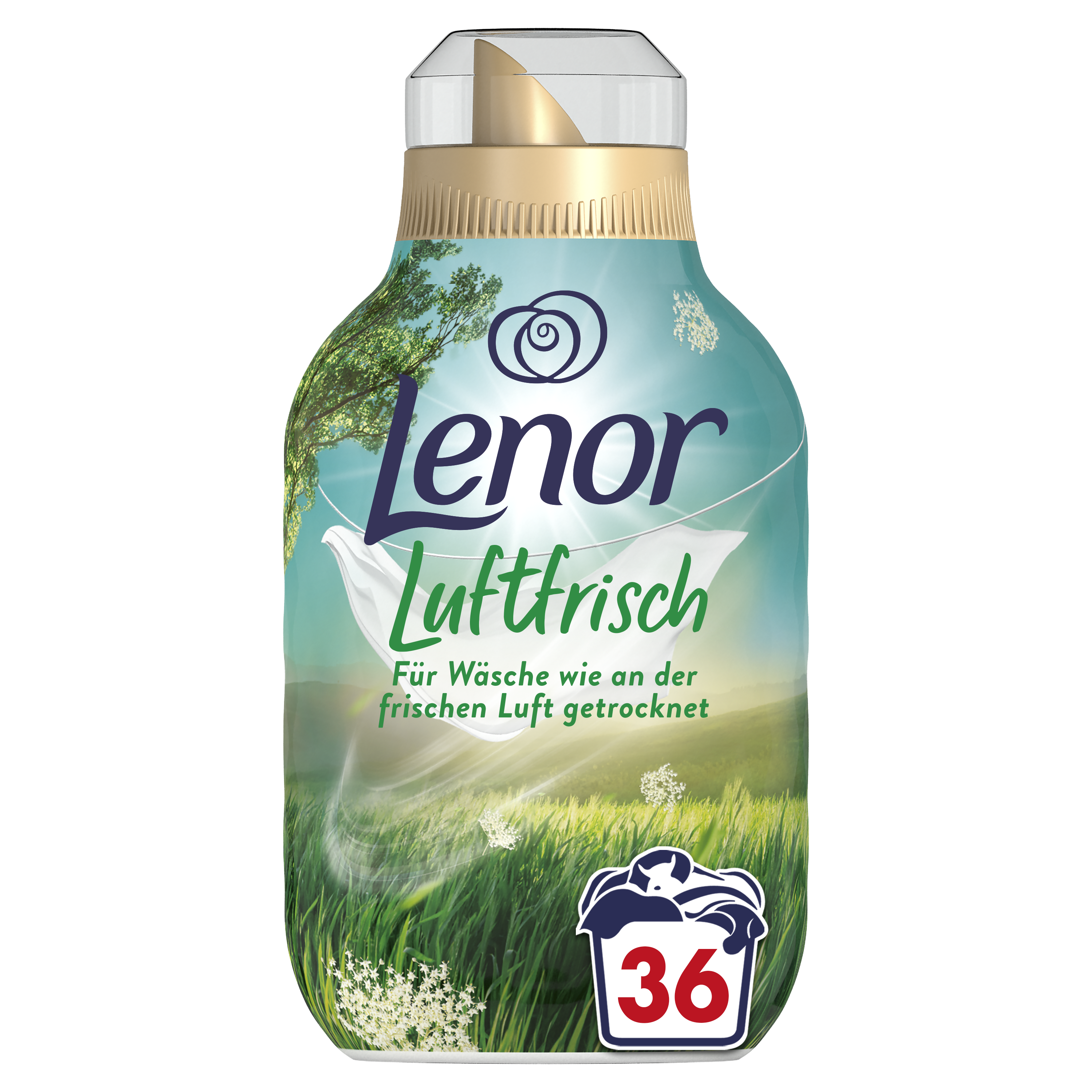 Lenor LFE Landwiese 36 WL