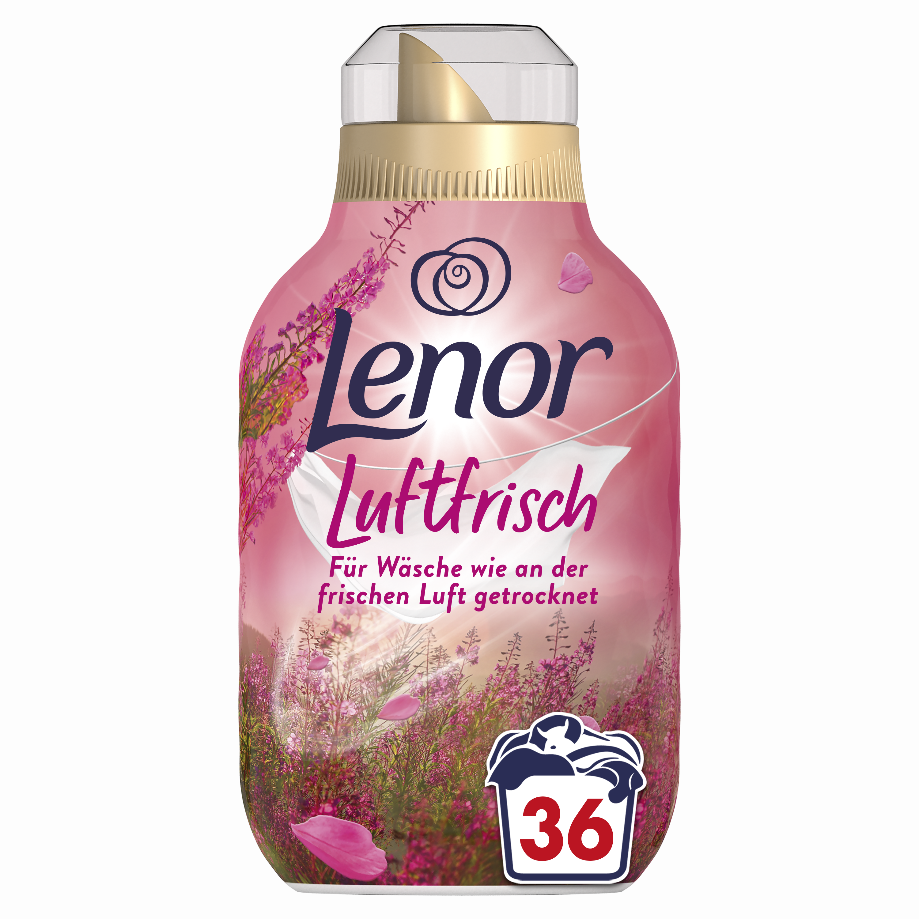 36 WL