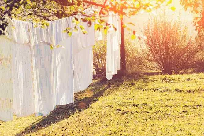 White Laundry Hanging On A Clothesline In A Sunny Garden