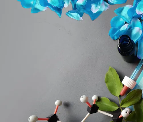 Blue Flower Petals, A Pipette With A Glass Bottle, And A Molecular Model On A Gray Background