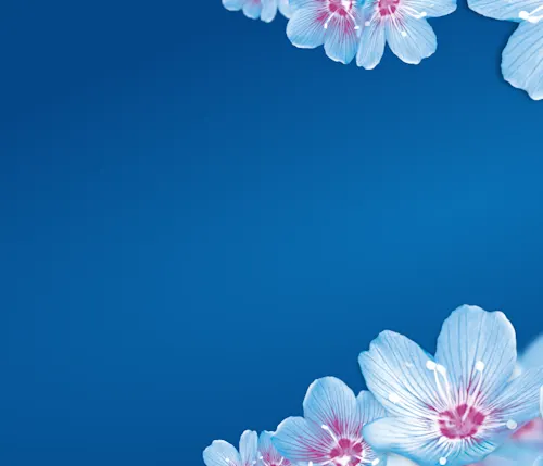 Blue Background With Delicate Floral Accents