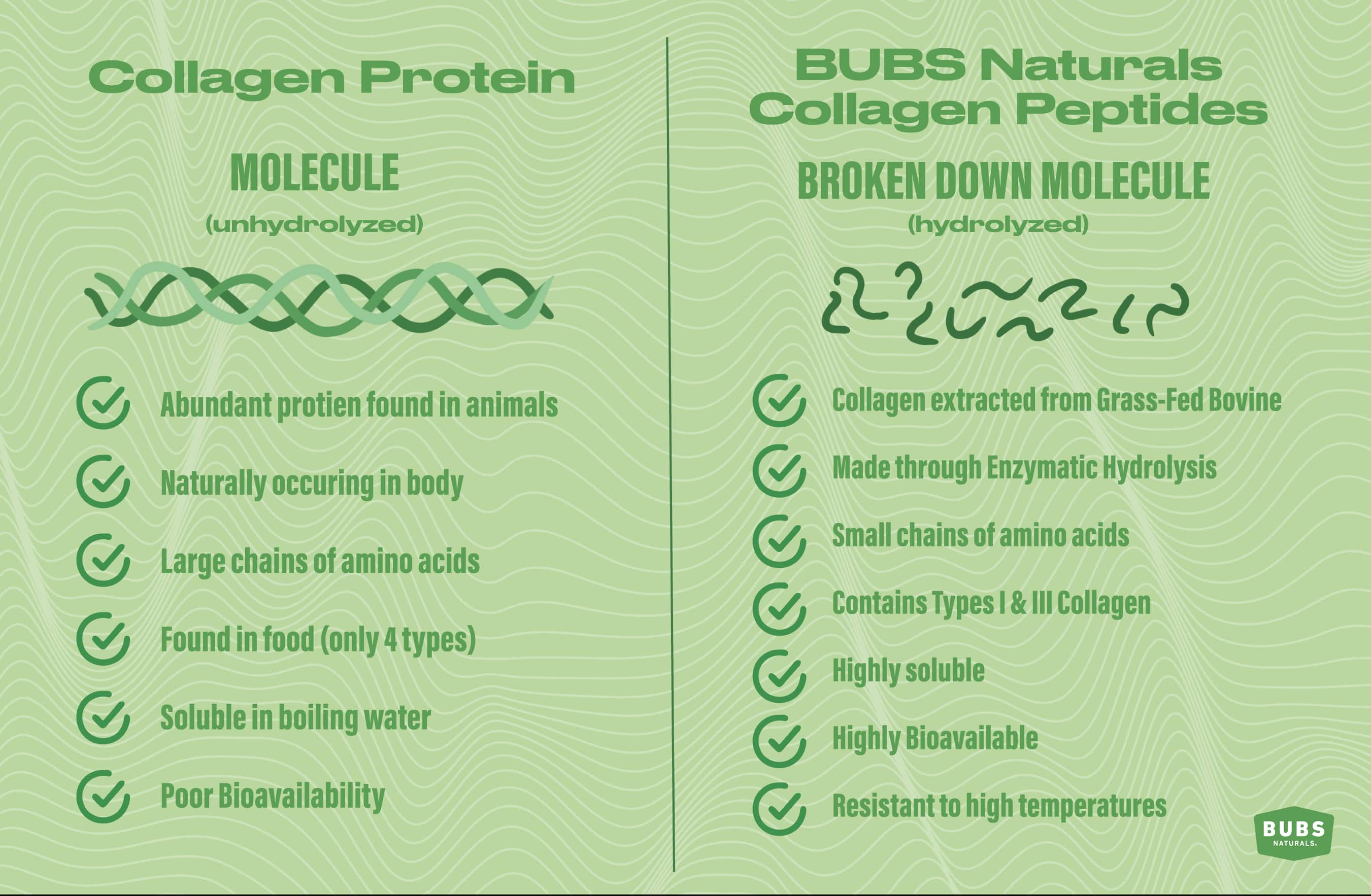 Comparison between collagen protein and collagen peptides.