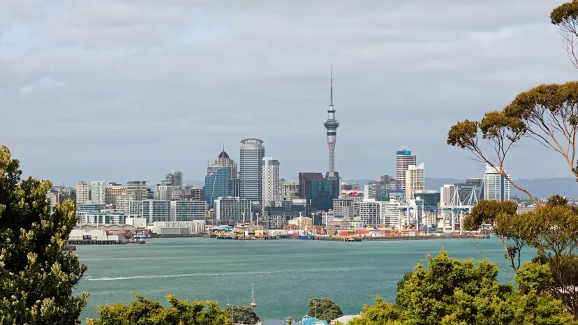 City scape of Auckland with trees in the foreground and buildings skyline in the background.