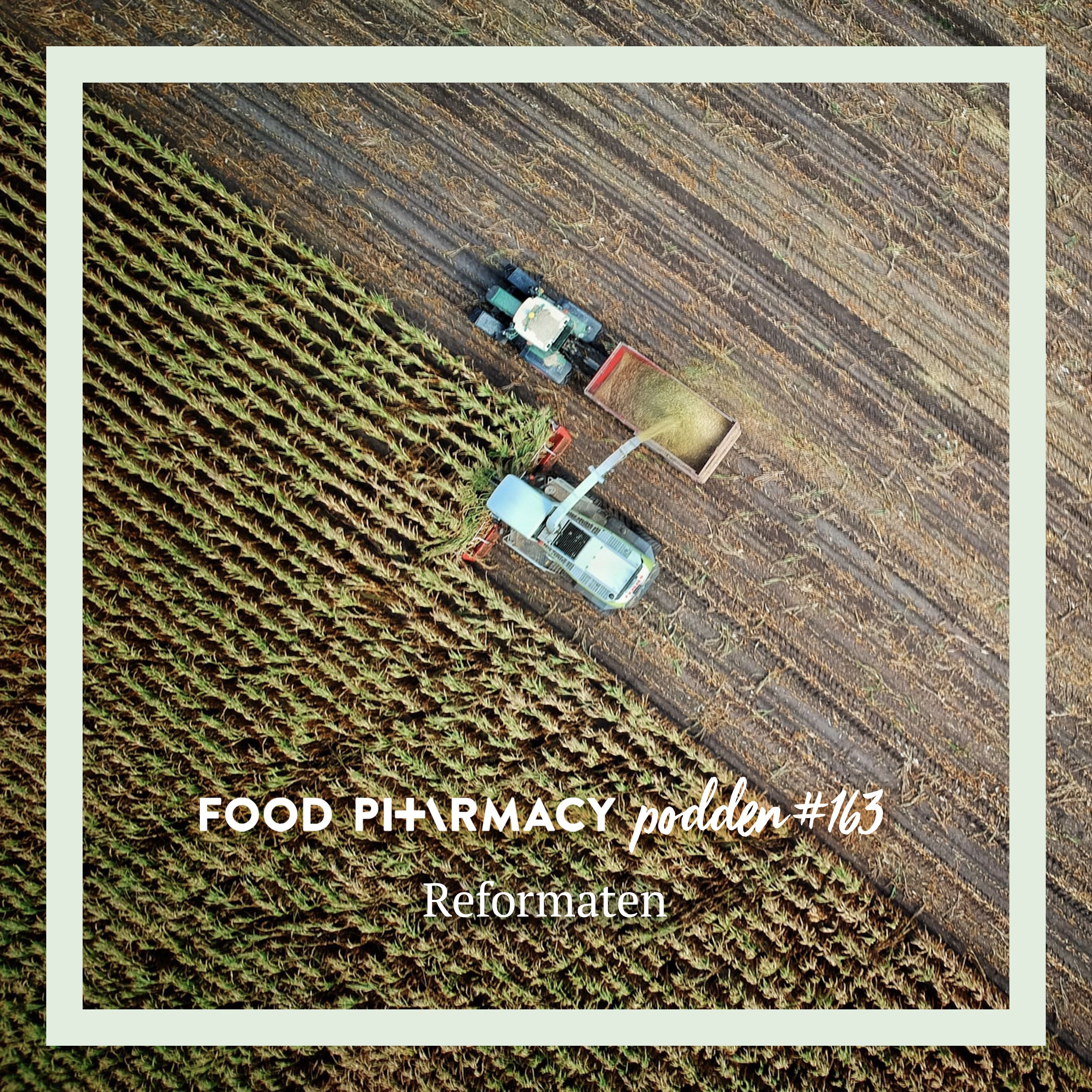 Food Pharmacy-podden #163 - Reformaten