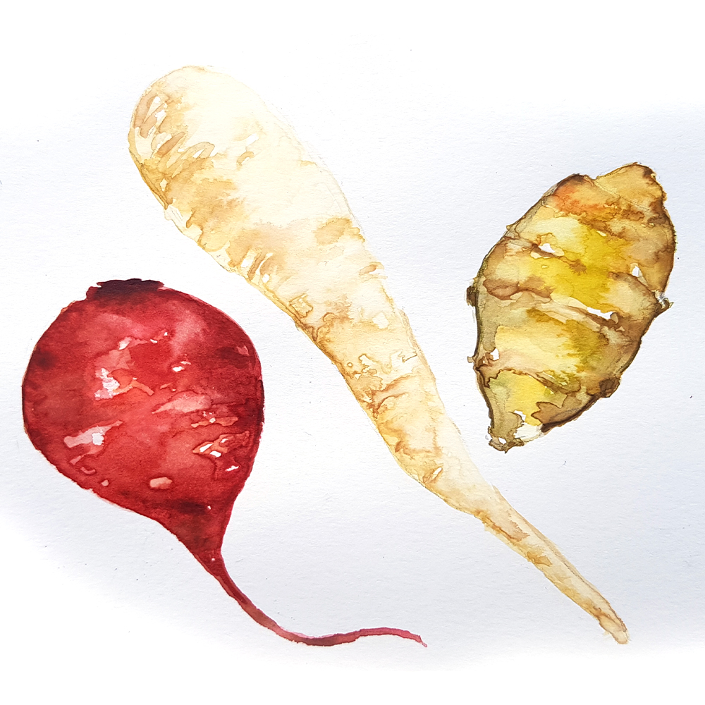 root vegetables