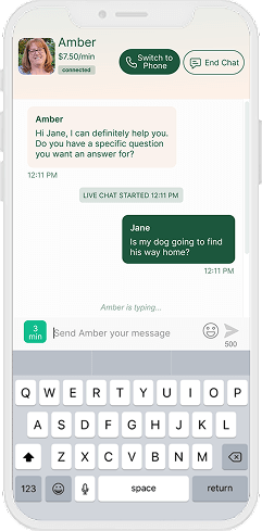 Chat Mockup 1 (1)