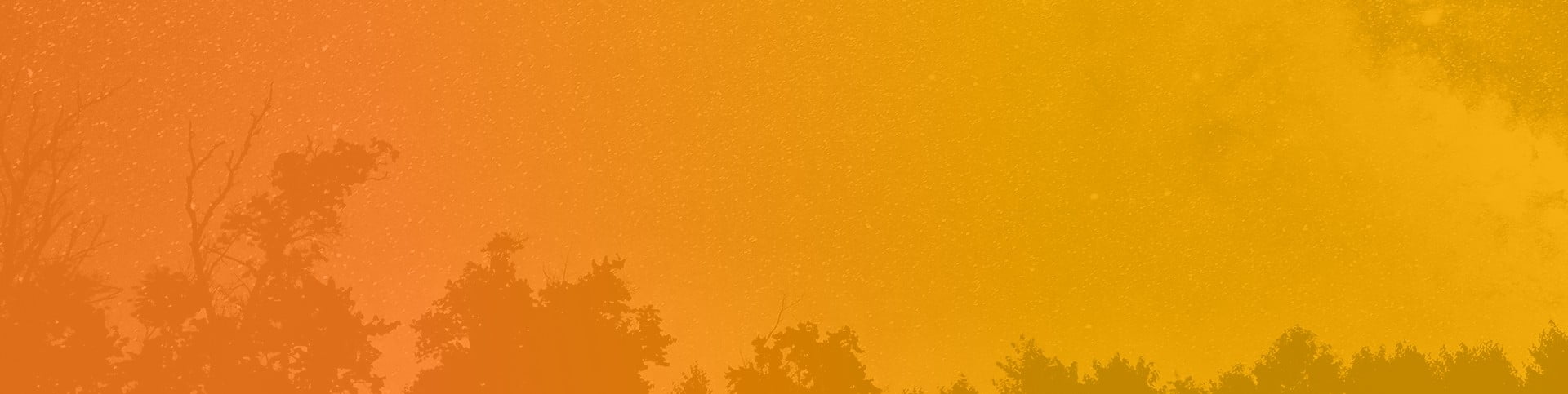 Orange Background with Tries