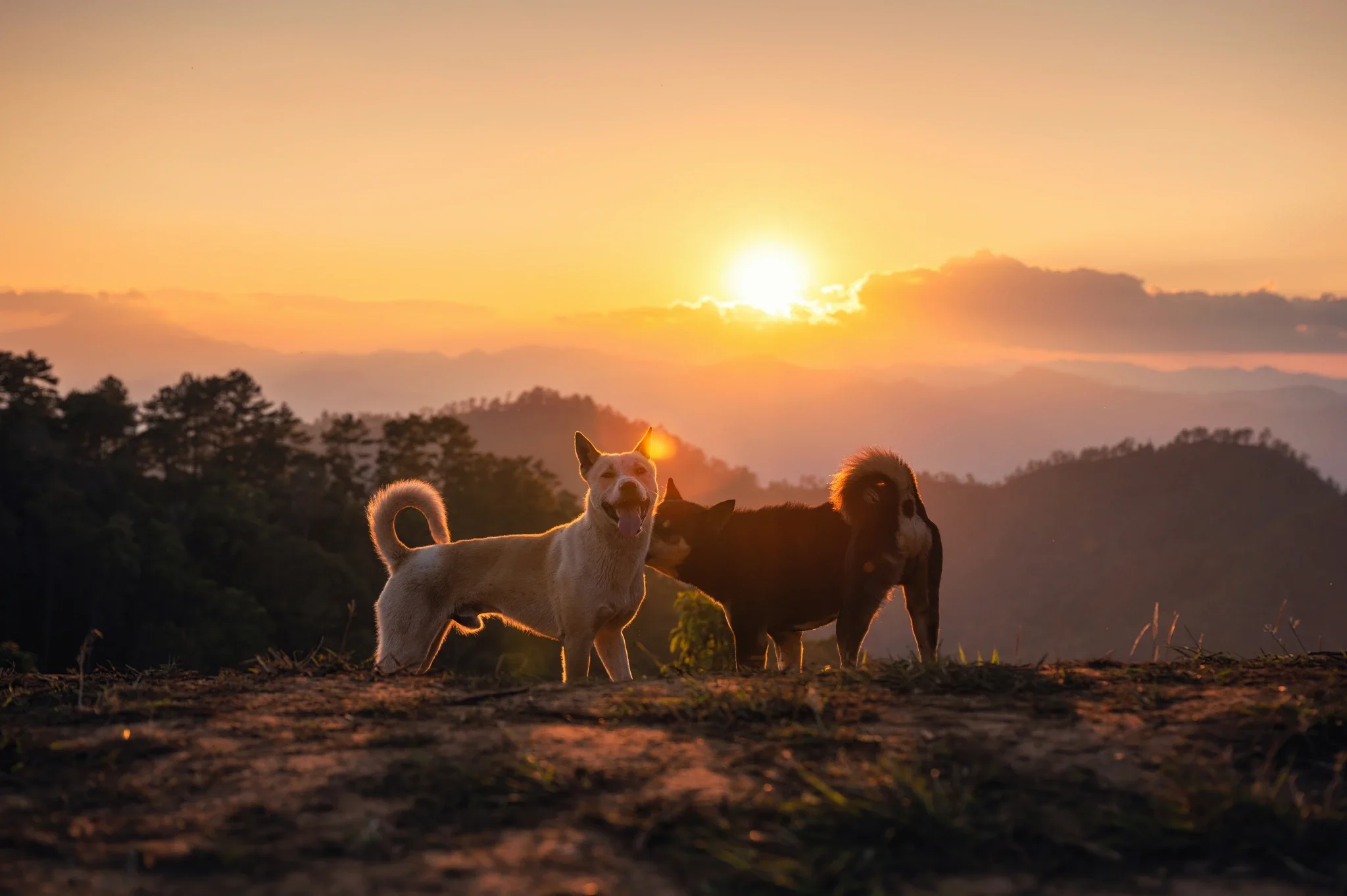 relaxed customer having a psychic reading via phone