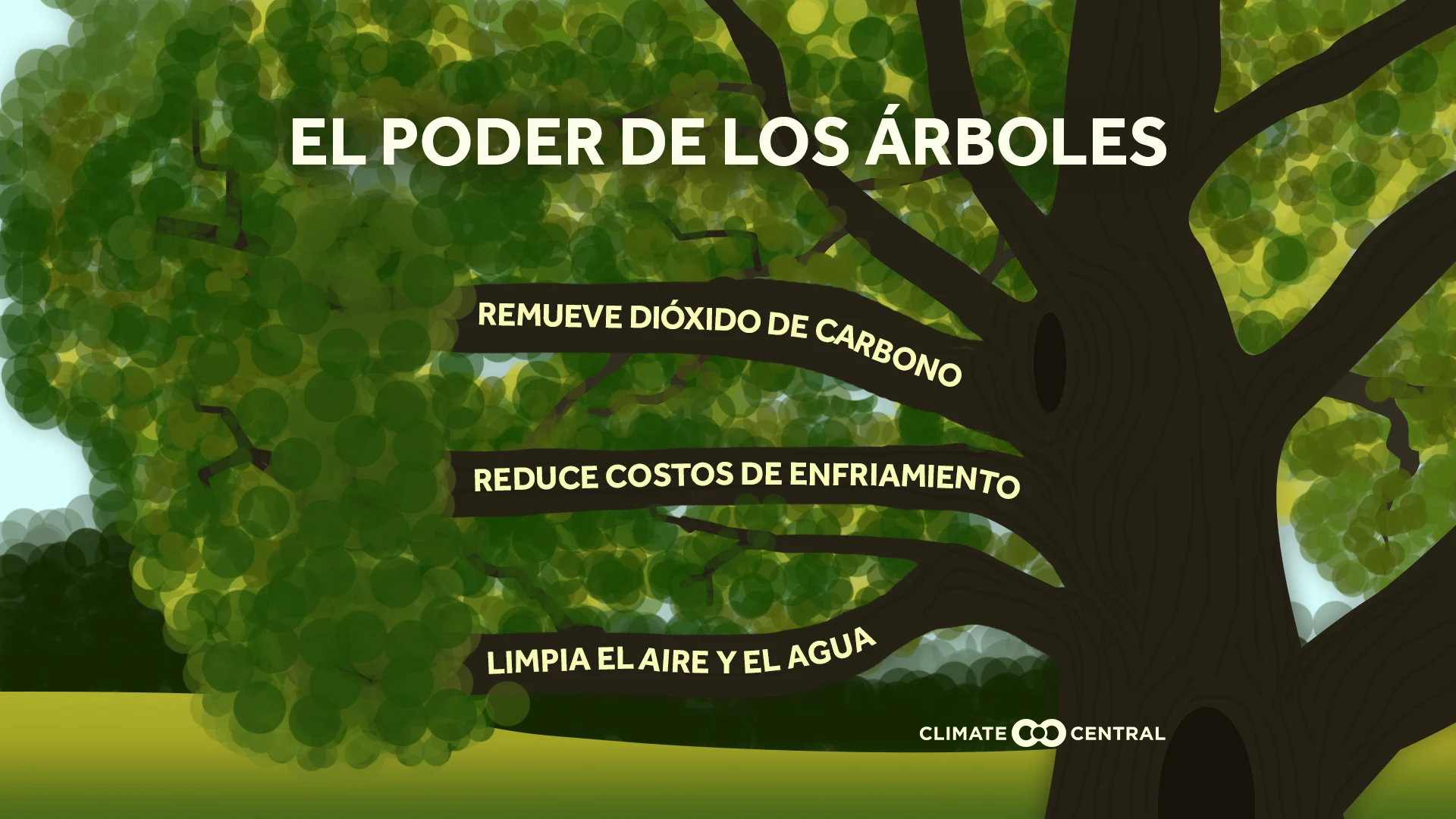 climate benefits of trees overview