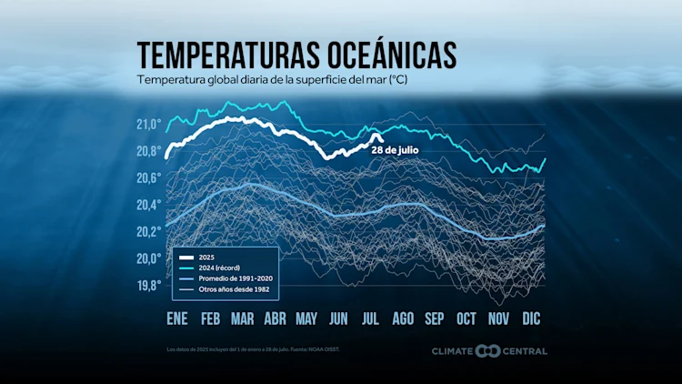 CM: Daily Global Sea Surface Temperatures 2025 (ES)