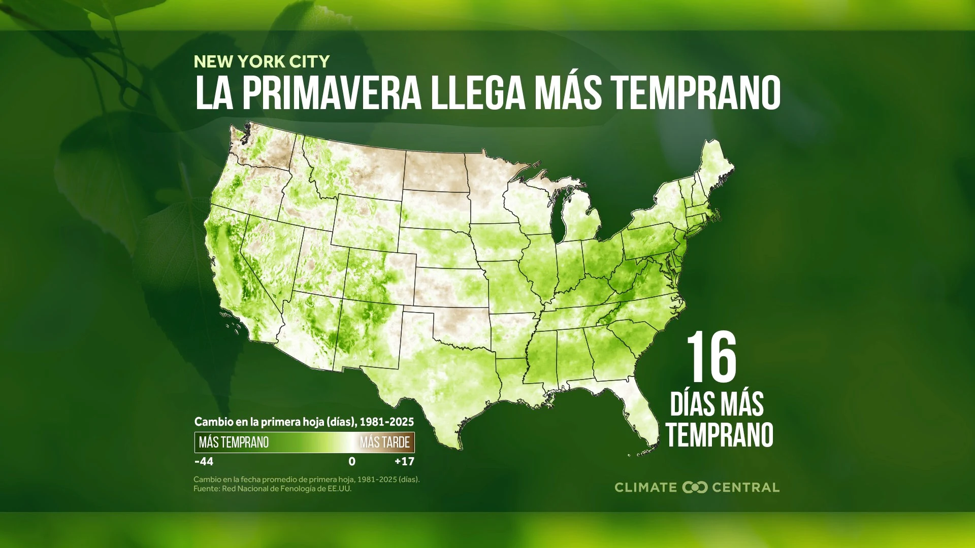 CM: Local Start of Spring 2026 (ES)